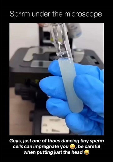 Exploring Sperm Cells Under a Microscope