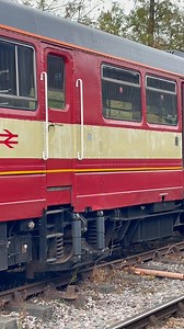 17K views · 234 reactions | Class 141 (141113). This is the last operational class 141 in the Universe. There is one other non functioning example of this class, which I believe is now owned by the Locomotive Services Group and in storage, possibly at Eastleigh? 141113 is a regular runner at the Midland Railway - Butterley, and is also sometimes available for use on driver experience days. #trains #diesellocomotive #railway #heritagerailway #fblifestyle #travel | Adrian Watson | Facebook