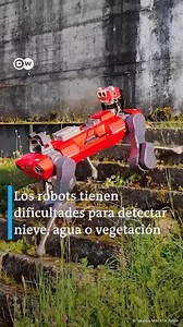 10K views · 82 reactions | Vea el perro robot que se puede mover por superficies inestables 落 | Radioacktiva | Facebook