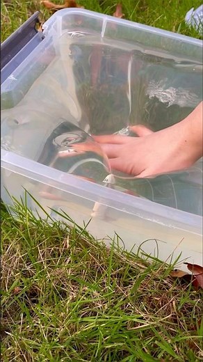 THIS IS THE WEIRDEST SLIME IN THE WORLD! 😱🤨🌎 *satisfying slime asmr*