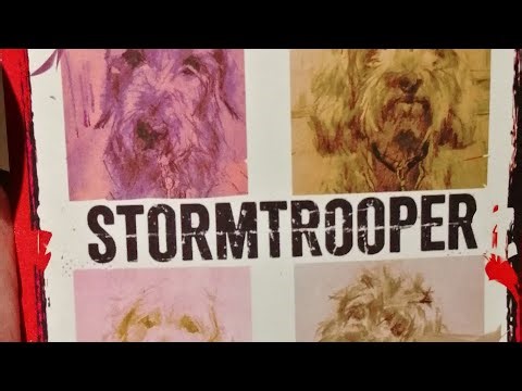 Stormtrooper Live Ryde Isle of Wight 13 March 2026 pUnK rock n roll aNaRcHy in the IOW