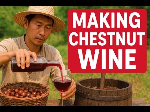 Discover the SECRET to Making Perfect Chestnut Wine Every Time!🍷✨