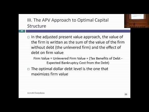 Session 20: Adjusted Present Value (APV) and Peer Pressure