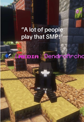 Understanding Judgment in the Minecraft Community