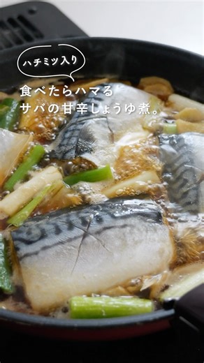 🍚食べたらハマる、「サバの甘辛醤油煮」