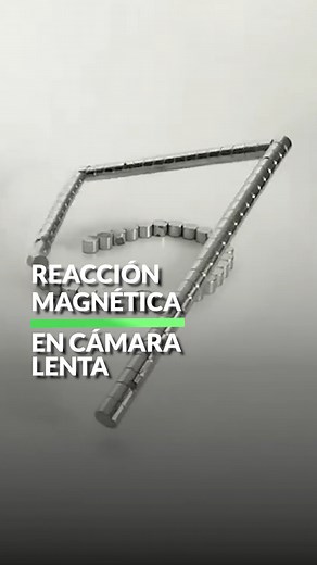 Un grupo de imánes uniendose en cámara lenta da uno de los videos más espectaculares que podrían pasar por cualquier tipo de animación por computadora. #iman#imánes #magnética #videocurioso #cámaralenta🎥 | Xataka LATAM