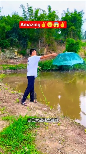 Unbelievable umbrella fishing net | Catch fish🐟 | Outdoor fishing trap #fishingnet #outdoors #shorts