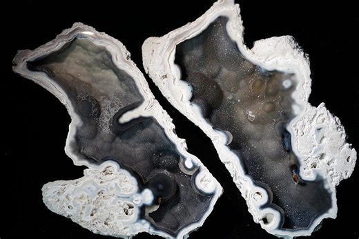 RARE Agatized Coral Geode Pair Black Druzy Specimen Cut & Polished Uv-reactive Fossil - Etsy Australia