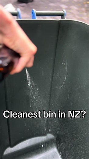 Transform Your Bins: From Disgusting to Brand New