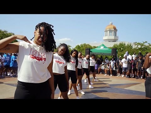 The Infamous Iota Rho Chapter of Delta Sigma Theta Sorority, Inc. UNCC 2021 Yardshow