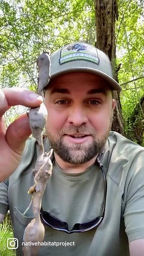 Kyle Lybarger on TikTok