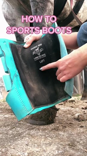 How to Put Sports Boots on a Horse: Step-by-Step Guide