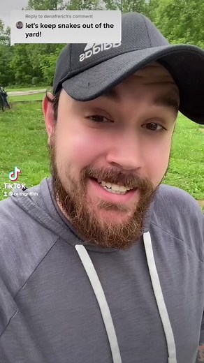 How to repel snakes! #GenshinImpact33 #bugtipsantricks #cartricksandtips #isitworhthemoney