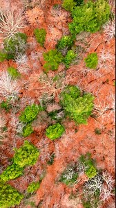 Stunning aerial perspective beautifully capturing the breathtaking and vibrant fall colors of New Hampshire and Vermonts idyllic landscapes, showcasing natures stunning seasonal transformation