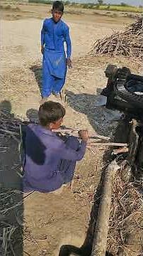Sindh's Secret Sweet: How Gur is Made from Cane in 2025