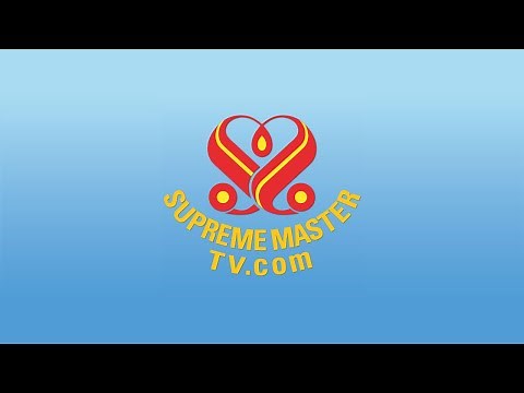 SupremeMasterTV Live (1080p 1 + 119,200 x Max)
