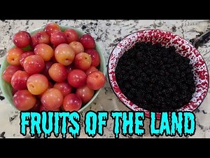 How to Make Blackberry Jelly