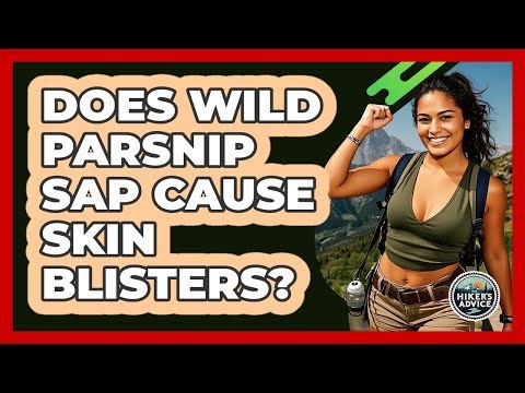 Does wild parsnip sap cause skin blisters?