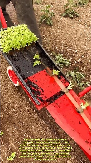 Innovative Farming Tool for Fast Seedling Planting🇺🇲