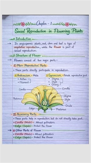 Pollination vs Fertilization 🌸 | Flower Reproduction Explained in 20 Sec #shorts #neet #science