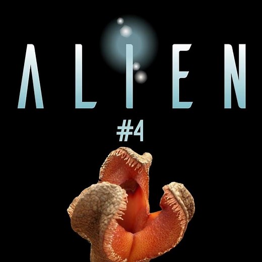 Hydnora africana - La plante monstre - 👽 ALIEN #4