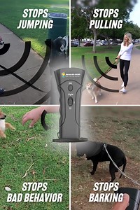 Does your dog have some bad behaviors? 🐶 Easily get rid of behaviors like: ✅Excessive Barking ✅Jumping on guests ✅Aggression ✅Chewing on Furniture or Items ✅And Much More! | Dog Training Pros