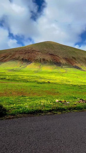 Discover the Green Wonders of Lanzarote