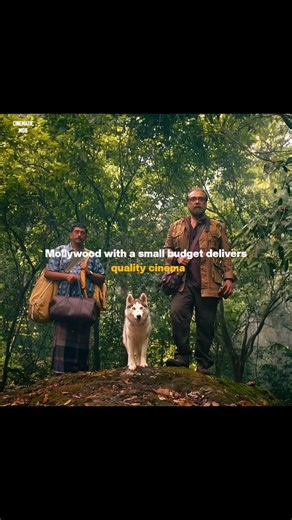 cinematic mob on Instagram: "Other film industries often depend on large budgets to create impactful cinema. In contrast, Mollywood consistently proves that great films do not require massive financial resources. Despite working with comparatively small budgets, it delivers high-quality, content-driven cinema. Strong storytelling, realistic performances, and thoughtful direction define its films. Mollywood focuses more on substance than spectacle. This approach allows it to connect deeply with a