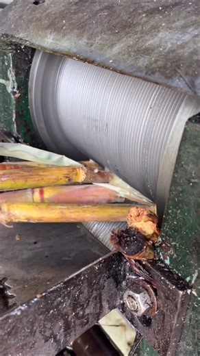 ⚡⚡ Desi Jaggery Making Process⚡⚡ #shorts #telugufoodie #esangathulu #streetfood #foodie #omelette