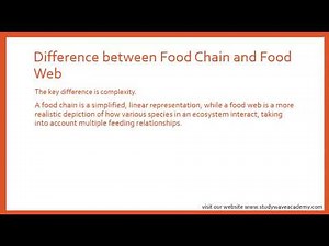 Exploring Ecosystems: Understanding the Balance of Nature