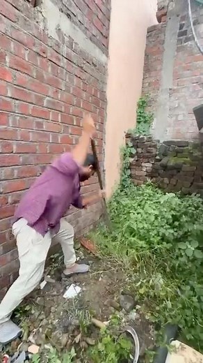 Rescue & Replant: Giving Mango Saplings a New Life🌺✌️