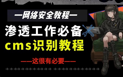 网安人如何快速识别测试网站是否存在漏洞 /网络安全/信息安全/渗透测试/信息安全/web/kali/src