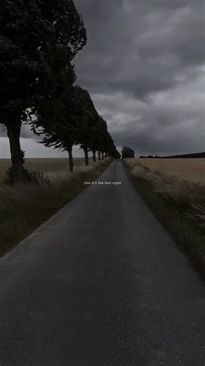 die with a smile – lady gaga & bruno | lyrics | aesthetic | whatsapp status | english songs#lyrics