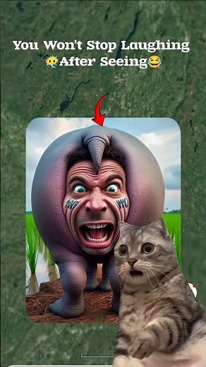 You Won’t Stop Laughing After Seeing This Google Earth Location! 😂🌍 #shorts #explore #mystery #funny