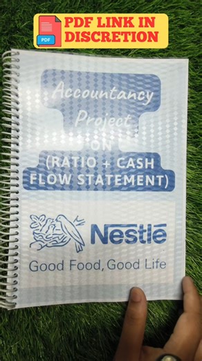 Accountancy Project File Class 12th (Nestle) #project #viral #trending #schoolproject