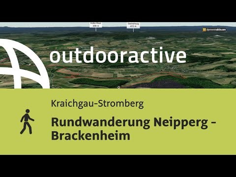 Rundwanderung Neipperg - Brackenheim