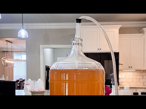 Making Wine at Home Just Got WAY Easier 🍷 | Auto Siphon Must-Have