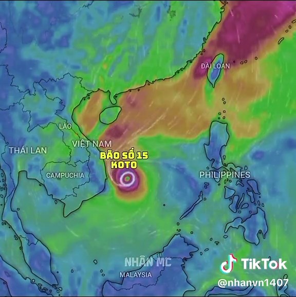 Bão số 15 Koto: Dự báo và Hành trình Đổ bộ