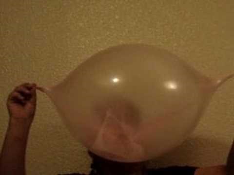 Guinness World Record Bubble Gum Blow 2