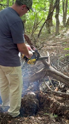 McCulloch Eager Beaver 2.0 - first time running and cutting in 10 years #mcculloch #chainsaws