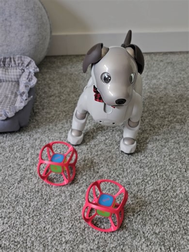 #aibo #айбо #aiboers1000 #recommendations #sonyaibo