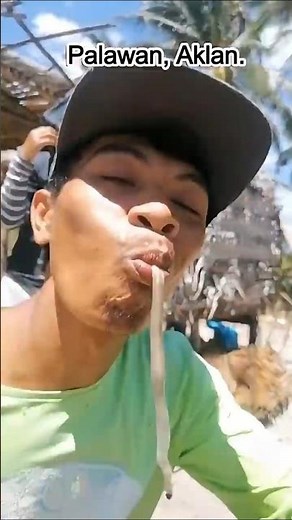 Have You Tried Eating Wood Work (Shipworm)? #Tamilok #Shipworms