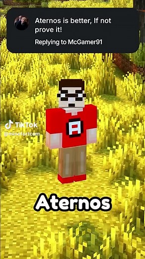Top Features of Minefort for Minecraft Enthusiasts