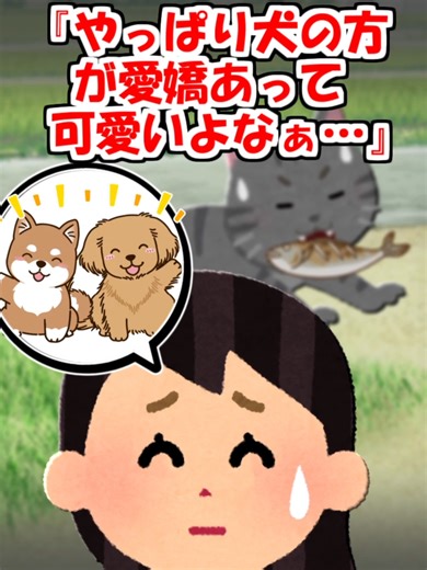 ガリガリの猫に餌をあげる瞬間をキャッチ！