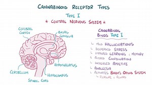 Video: Cannabis use disorder - Video Explanation! | Osmosis | Osmosis