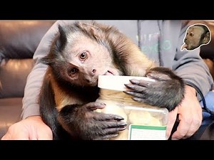 Monkey Mail Unboxing Party!