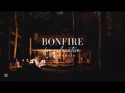 1 Hour Bonfire Ambience – Crackling Fire Sounds for Sleep, Relaxation & Focus 🔥