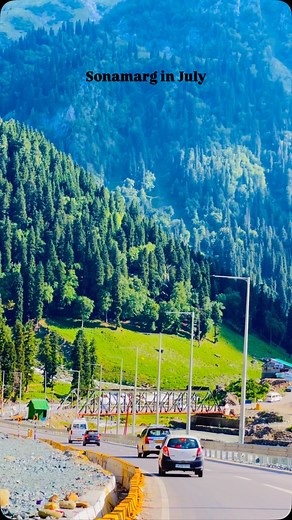 SONAMARG is lovely in the month of July 🫶🥰❤️🙌😘🤌😍❤️ . . . . . . . #kashmir#green#roadtrip#glacier#view#naturelov ersgallery #nature#kashmiri#viral#bollywood#snow#snowfall #naturephotography #sonamarg #gulmarg#pahalgham#dallake#malani#kulumanali #swithzerland#dubai#iphone#2025#lovers | Shotsbyraaj