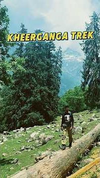 Kheerganga Trek Full information 🏔️ #travelitinerary #kheergangatrek