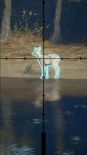ALBINO Roe from the ONE LAKE Method 🤍